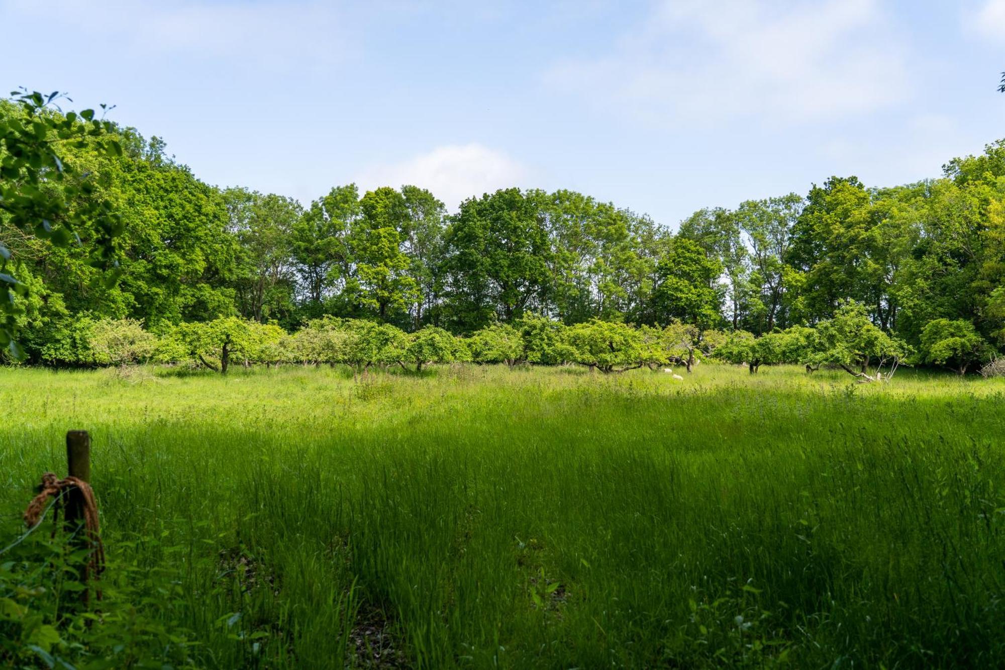 Koetshuis Buitenplaats Iepenoord Oostkapelle Exterior foto